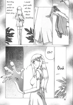 Page 7 of Hajime Taira Type H, Chapter Princess Elicia Rewrite