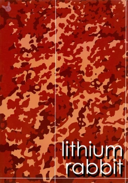 Page 16 of Ace Attorney DJ - Lithium Rabbit