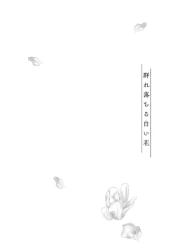 Page 182 of White flowers falling in clusters