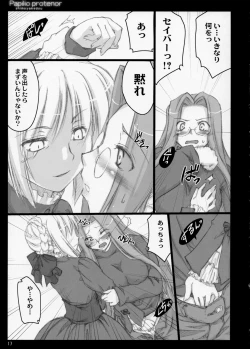 Page 12 of Papilio Protenor