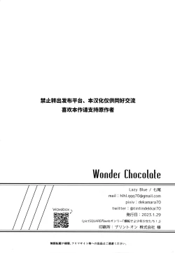 Page 29 of Wonder Chocolate
