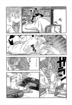 Page 11 of Shippo no Shikumi