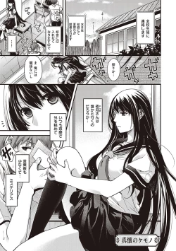 Page 39 of Meguriyo   no Kemono