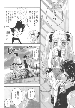 Page 34 of Maigo no Maigo no Hime-sama Plus