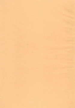 Page 25 of Neco Days