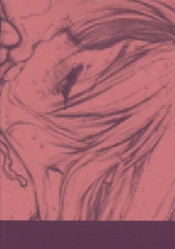 Page 10 of DESTRUCTION GIRL Appendix