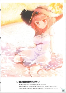 Page 47 of RE:COLORS! #01 Colors!/Reboot Homu Hika Nia Route