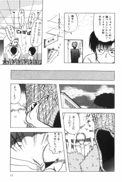 Page 19 of POSSESSION