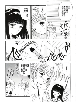 Page 33 of Sakura Festival