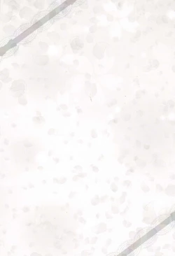 Page 41 of Sakura Festival