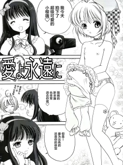 Page 7 of Sakura Festival