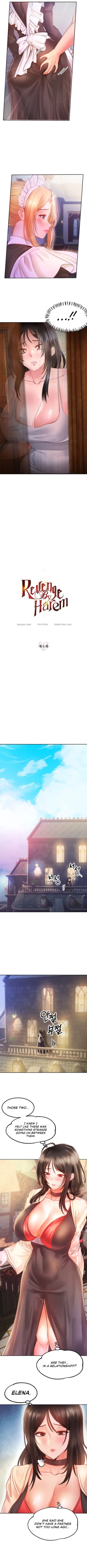 Page 62 of Revenge by Harem