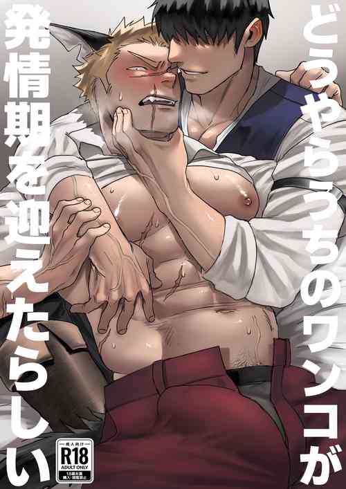 Download Dōyara Uchi no Wanko ga Hatsujōki o Mukaetarashī | It Looks like My Dog is in Heat