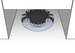 Page 42 of Oshibana Shōjo