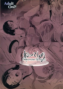 Page 2 of Chuushin-sama no Yome