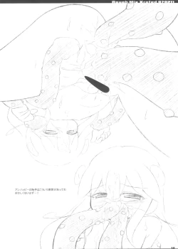 Page 12 of R.M.X.070211