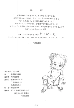 Page 26 of Platinum Book’s