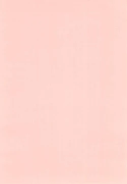 Page 4 of Platinum Book’s