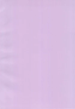 Page 4 of Kokoro Reversi