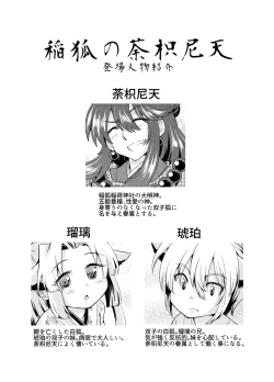 Page 17 of 双子狐。開通の儀