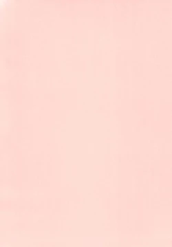 Page 4 of Tsubasa no Haeta Anata