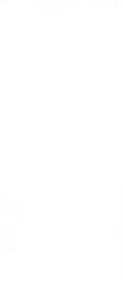 Page 4 of 3Bagatelle