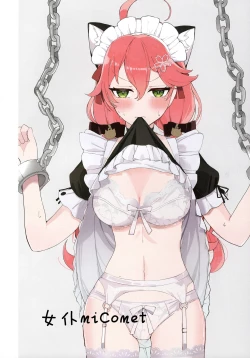 Page 22 of MiComet Matome Hon