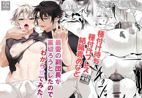 [なついろ乙女] 最愛の副団長が裏切ろうとしたのでわからせてみた [Chinese] [逃亡者×真不可视汉化组]