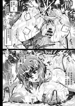 Page 6 of 散图汉化