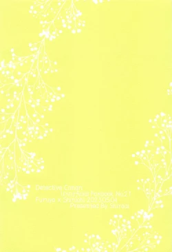 Page 18 of Noisy Communication