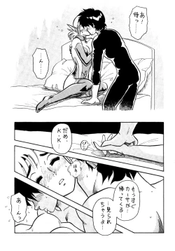 Page 11 of Halopack 4.5