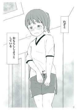 Page 4 of How to Breach the Unknown