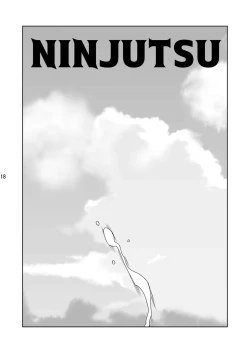 Page 19 of Ninjutsu