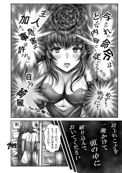 Page 9 of 催●賢者 〜百年生きた女賢者は自分の催●魔法には抗えません〜