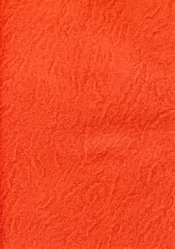 Page 42 of Clotholophos