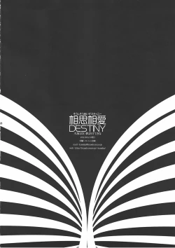 Page 26 of Soushisouai DESTINY