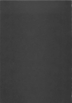 Page 195 of Shin Rape Vol.1