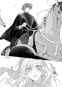 Page 9 of Ai ga Omoi Kishi Koushaku wa, Tsuihou Reijou no Subete o Ubaitsukushitai. | 骑士公爵爱意深重，想要索取放逐千金的一切。 1-17