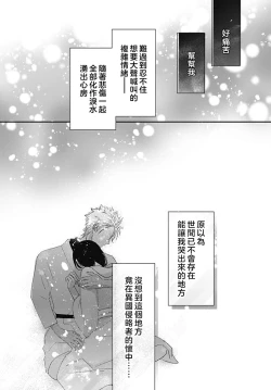 Page 95 of keikoku no biki no hatsukoi kyuai wa atsuku midara ni | 倾城的美姬的初恋 求爱要火热淫荡 1-4