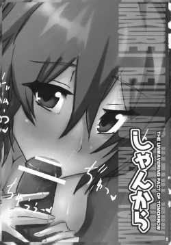 Page 3 of Shankara - The Unwavering Fact of Tomorrow