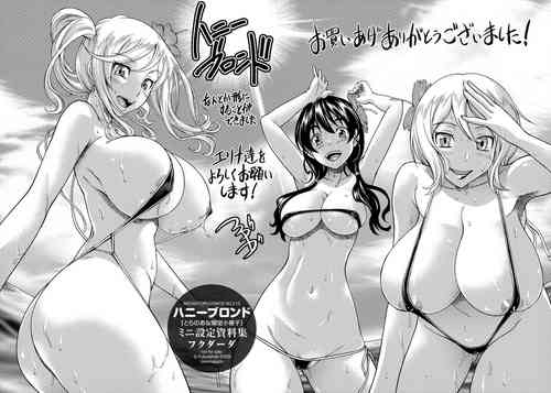 Download Honey Blonde Toranoana Gentei Shousasshi Mini Settei Shiryoushuu