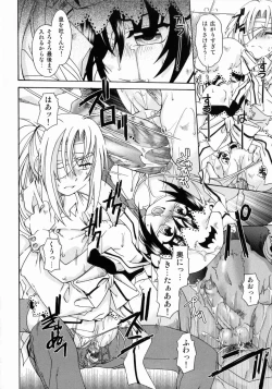 Page 155 of Spitfire Sireline