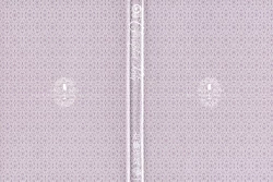 Page 3 of Corrupted Party