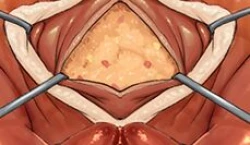 Page 112 of goblin potato 作品