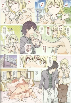 Page 13 of HOME Musume tte, Dou?