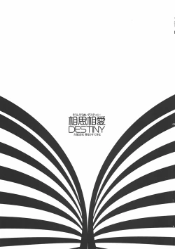 Page 2 of Soushisouai DESTINY
