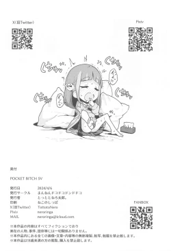 Page 33 of POCKET BITCH SV