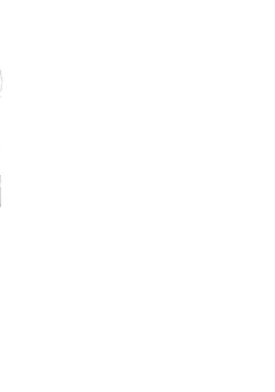 Page 2 of Saimin Sareta Nishizumi Iemoto no Waisetsu Micchaku Shuzai