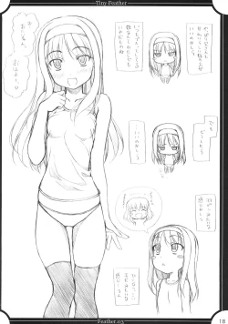 Page 17 of Feather.03