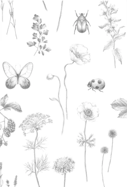 Page 3 of Doku o Kurawaba  Sara made.